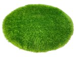 Puffy Shaggy 004O Green (Zöld) Ø 100cm